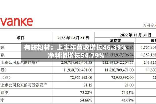 有研粉材：上半年营收增长46.39% 净利润增长54.79%-第1张图片