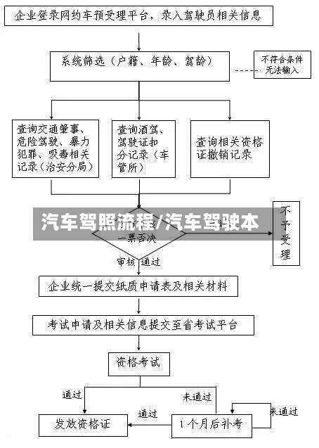 汽车驾照流程/汽车驾驶本