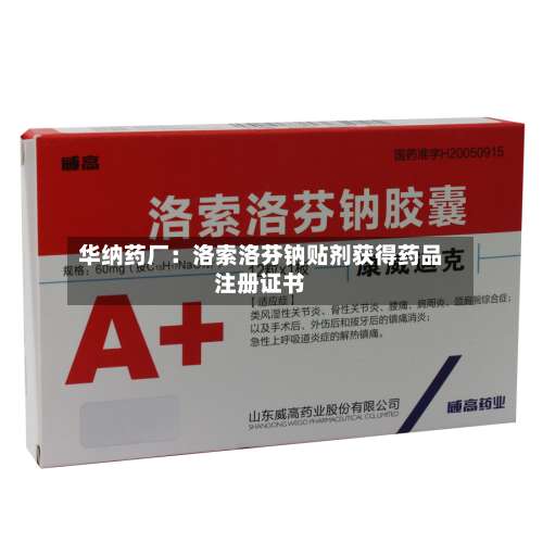 华纳药厂：洛索洛芬钠贴剂获得药品注册证书-第2张图片
