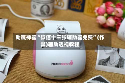 助赢神器“微信十三张辅助器免费”(作弊)辅助透视教程-第3张图片