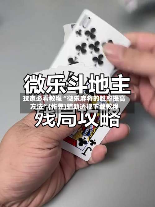 玩家必看教程“微乐麻将的胜率提高方法	”(作弊)辅助透视下载教程-第2张图片