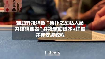 辅助开挂神器“德扑之星私人局开挂辅助器”开挂辅助脚本+详细开挂安装教程