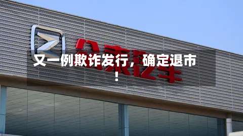 又一例欺诈发行，确定退市！-第2张图片