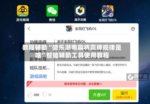 教程辅助“微乐湖南麻将赢牌规律是啥”智能辅助工具使用教程-第2张图片