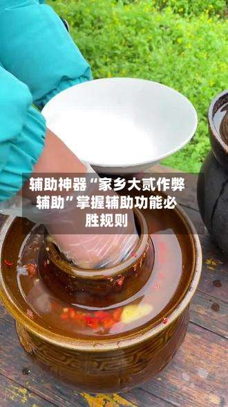 辅助神器“家乡大贰作弊辅助”掌握辅助功能必胜规则-第2张图片