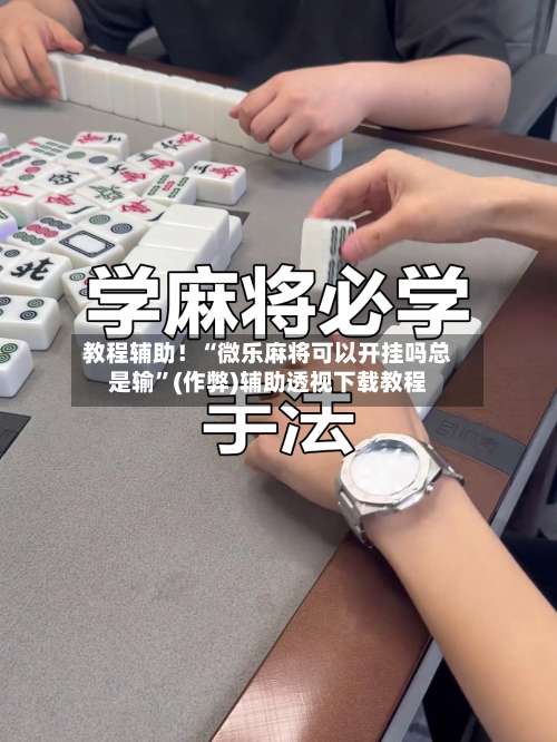 教程辅助！“微乐麻将可以开挂吗总是输”(作弊)辅助透视下载教程-第2张图片