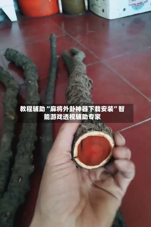 教程辅助“麻将外卦神器下载安装”智能游戏透视辅助专家-第2张图片