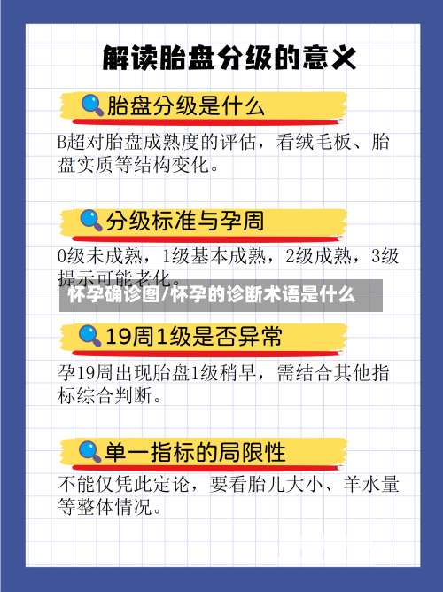 怀孕确诊图/怀孕的诊断术语是什么