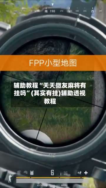 辅助教程“天天微友麻将有挂吗”(其实有挂)辅助透视教程-第3张图片