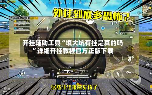 开挂辅助工具“填大坑有挂是真的吗”详细开挂教程官方正版下载-第3张图片