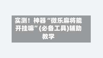 实测！神器“微乐麻将能开挂嘛	”(必备工具)辅助教学-第2张图片