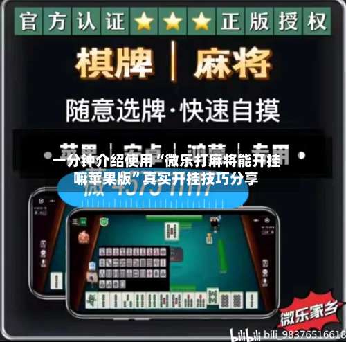 一分钟介绍使用“微乐打麻将能开挂嘛苹果版	”真实开挂技巧分享-第2张图片