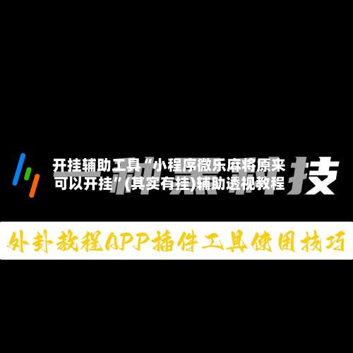 开挂辅助工具“小程序微乐麻将原来可以开挂	”(其实有挂)辅助透视教程-第2张图片