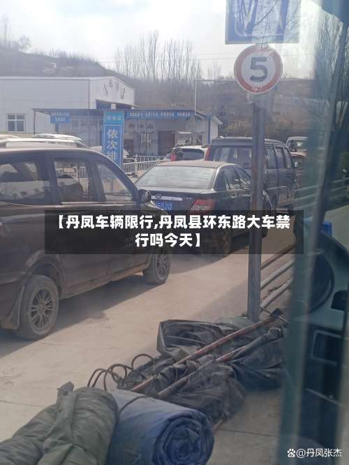【丹凤车辆限行,丹凤县环东路大车禁行吗今天】
