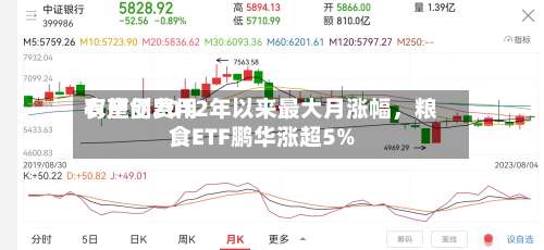 农产品费用有望创2012年以来最大月涨幅	，粮食ETF鹏华涨超5%-第2张图片