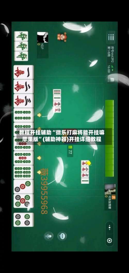 教程开挂辅助“微乐打麻将能开挂嘛苹果版	”(辅助神器)开挂详细教程-第2张图片