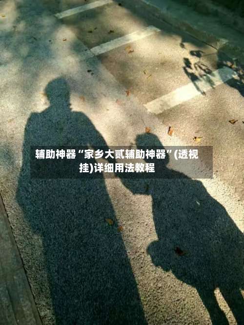辅助神器“家乡大贰辅助神器”(透视挂)详细用法教程-第3张图片