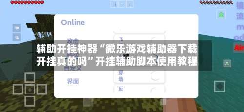辅助开挂神器“微乐游戏辅助器下载开挂真的吗”开挂辅助脚本使用教程-第3张图片