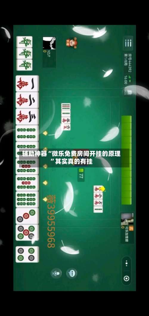 辅助神器“微乐免费房间开挂的原理	”其实真的有挂-第2张图片