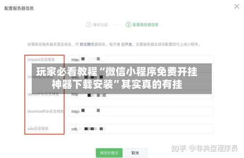 玩家必看教程“微信小程序免费开挂神器下载安装”其实真的有挂