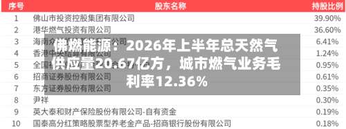 佛燃能源：2026年上半年总天然气供应量20.67亿方	，城市燃气业务毛利率12.36%-第3张图片