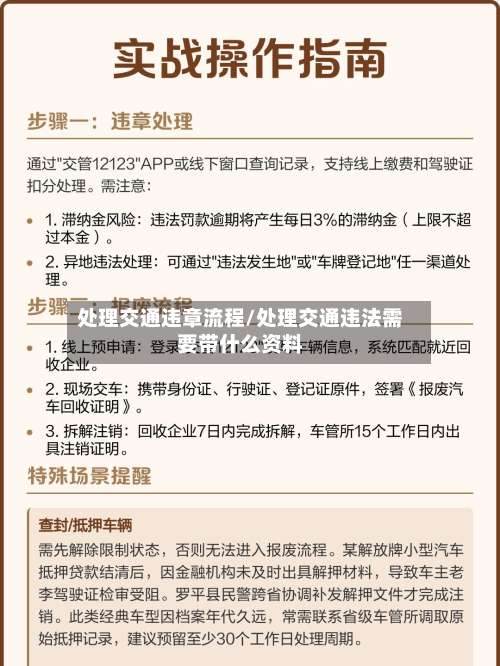 处理交通违章流程/处理交通违法需要带什么资料-第2张图片