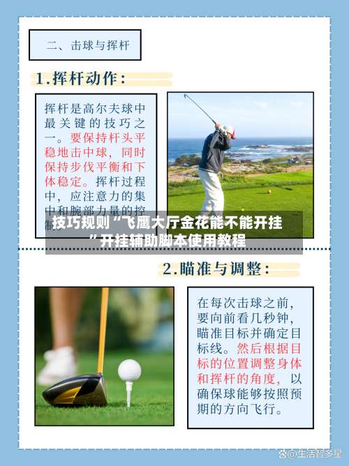 技巧规则“飞鹰大厅金花能不能开挂”开挂辅助脚本使用教程