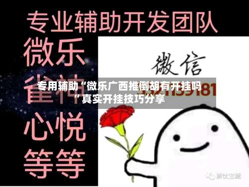 专用辅助“微乐广西推倒胡有开挂吗”真实开挂技巧分享-第2张图片