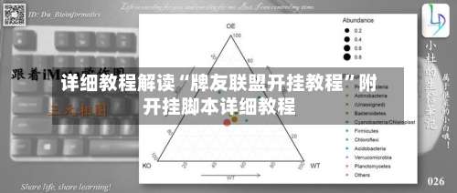 详细教程解读“牌友联盟开挂教程	”附开挂脚本详细教程-第2张图片