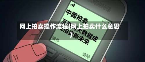 网上拍卖操作流程(网上拍卖什么意思)-第2张图片
