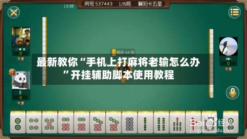 最新教你“手机上打麻将老输怎么办	”开挂辅助脚本使用教程-第2张图片
