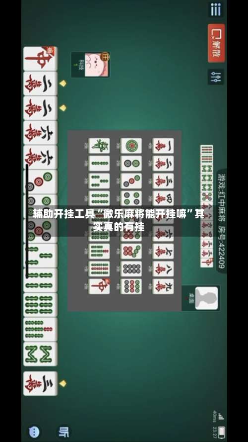 辅助开挂工具“微乐麻将能开挂嘛	”其实真的有挂-第2张图片