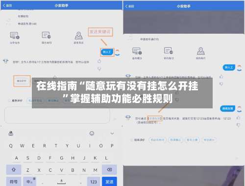 在线指南“随意玩有没有挂怎么开挂”掌握辅助功能必胜规则