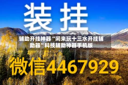 辅助开挂神器“闲来玩十三水开挂辅助器	”科技辅助神器手机版-第2张图片