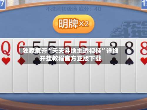 独家解答“天天斗地主透视挂”详细开挂教程官方正版下载-第2张图片
