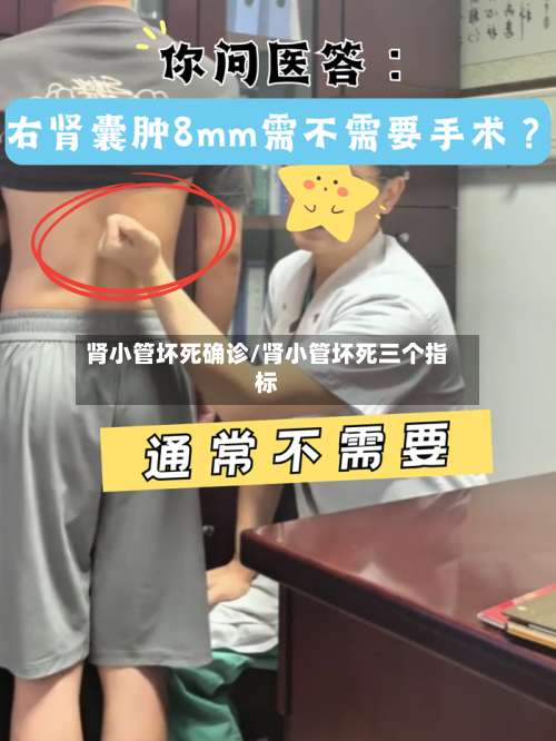 肾小管坏死确诊/肾小管坏死三个指标-第2张图片