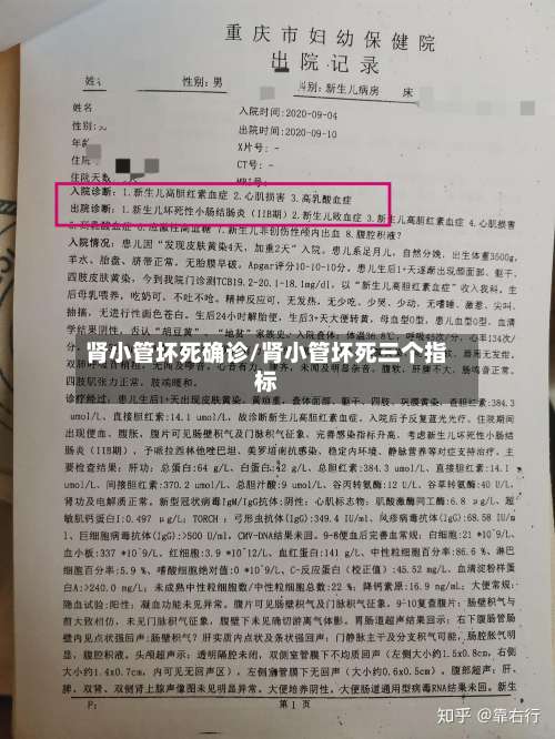 肾小管坏死确诊/肾小管坏死三个指标