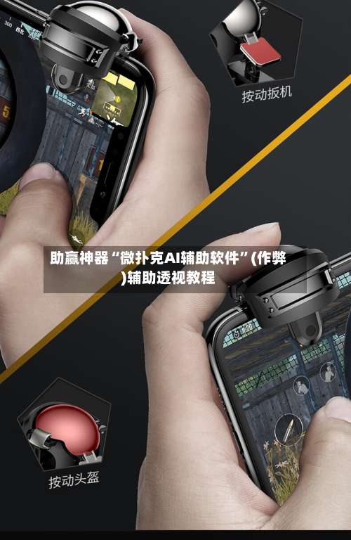 助赢神器“微扑克AI辅助软件”(作弊)辅助透视教程-第2张图片
