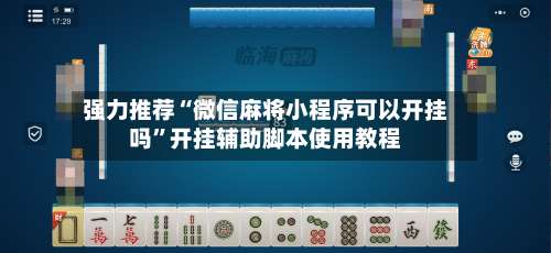 强力推荐“微信麻将小程序可以开挂吗”开挂辅助脚本使用教程-第3张图片