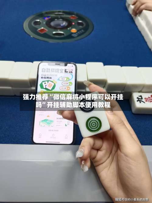 强力推荐“微信麻将小程序可以开挂吗”开挂辅助脚本使用教程-第2张图片
