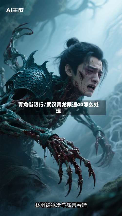 青龙街限行/武汉青龙限速40怎么处理-第3张图片